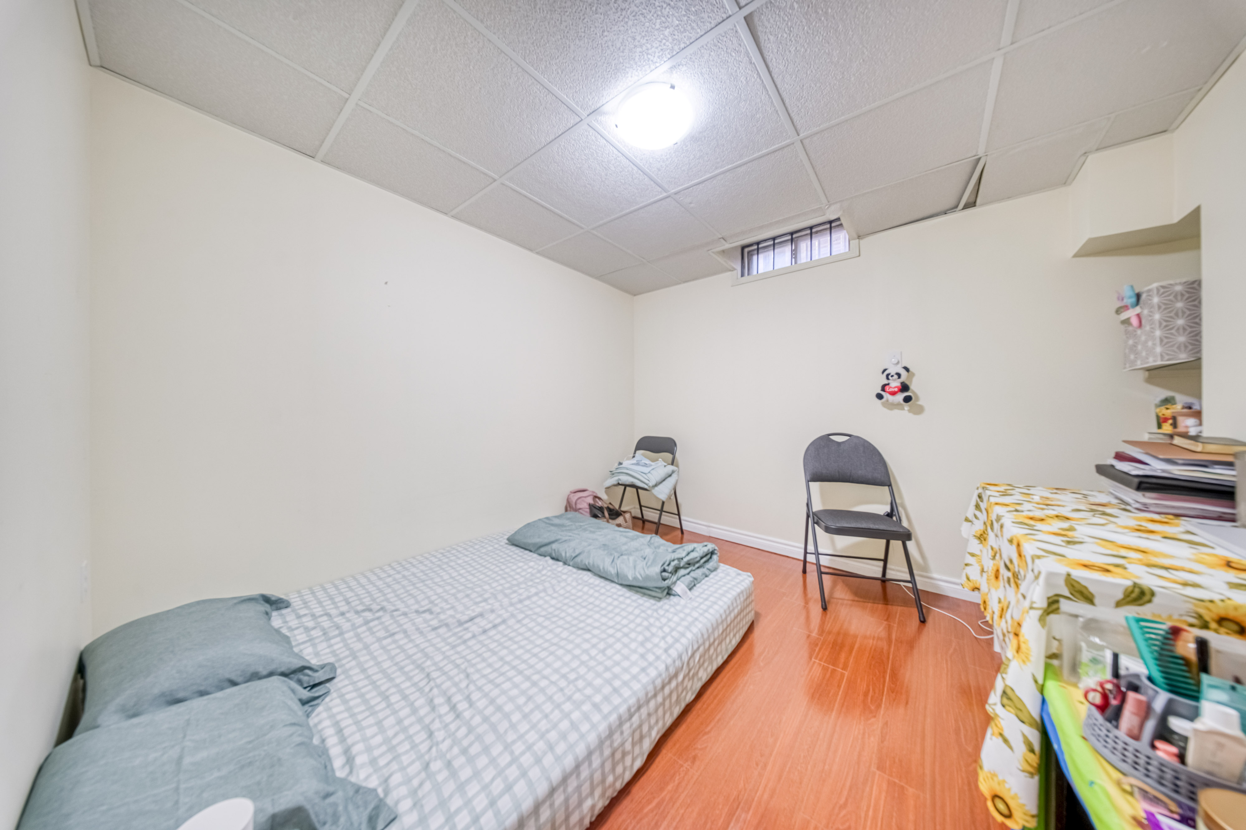 Basement Bedroom with Bed & Seating
