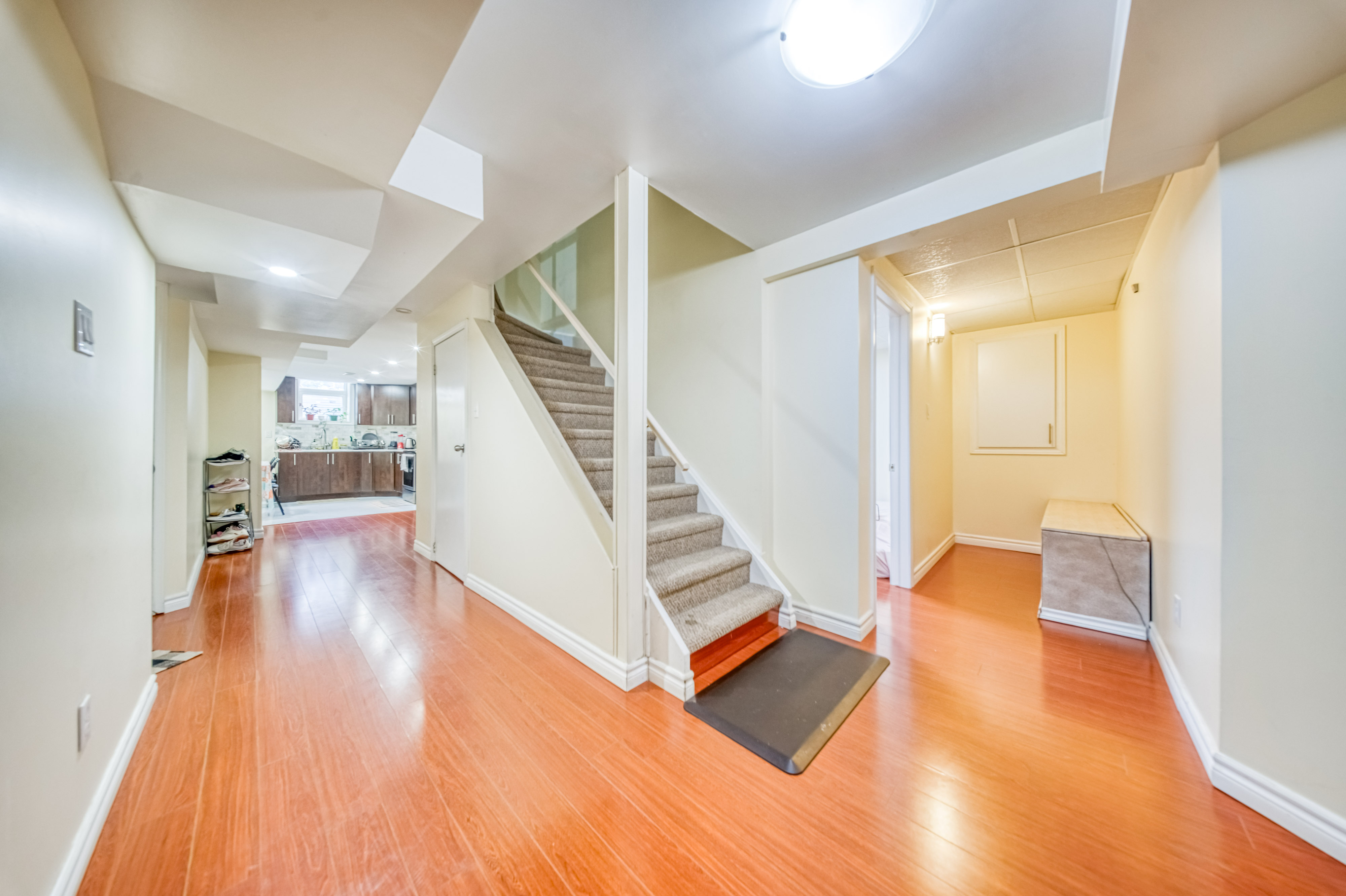 Basement Staircase and Hallway