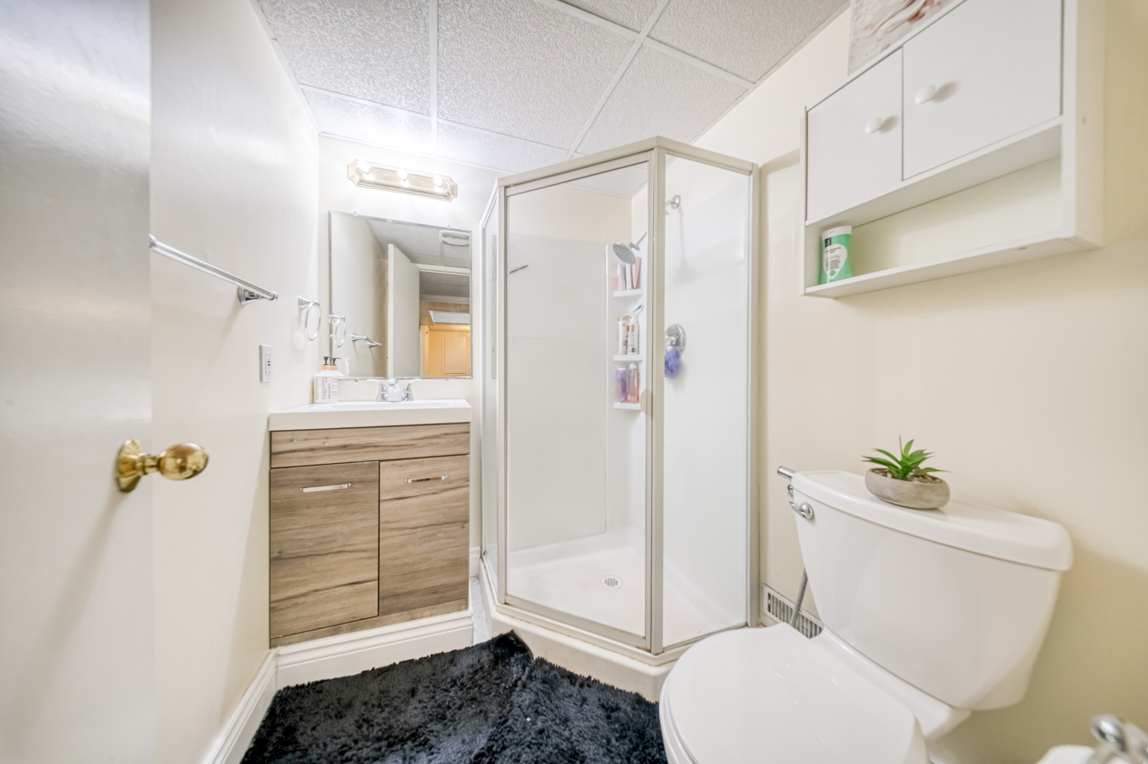 Basement Bathroom with Shower